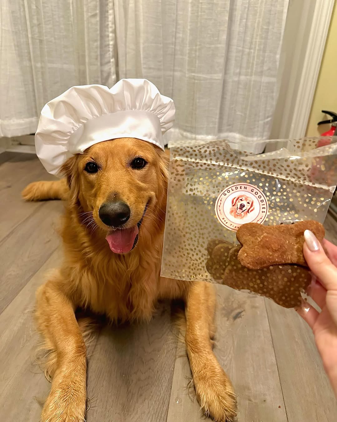 Bag of Golden Goodies peanut butter treats